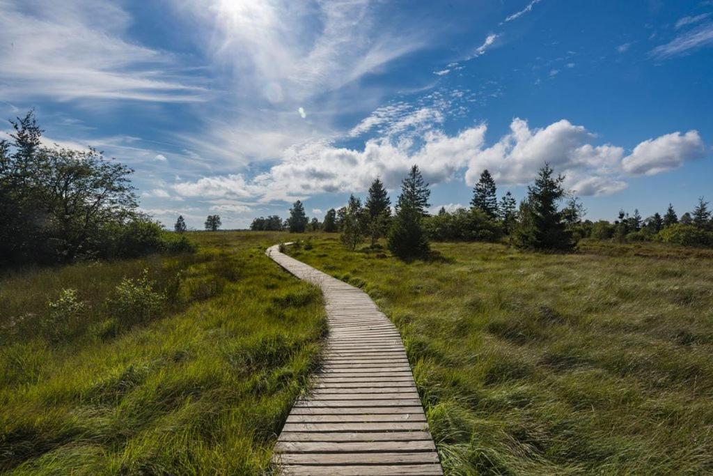 Le Noir Flohay 30 Pers - Malmedy, Vue, Wellness Villa Bagian luar foto
