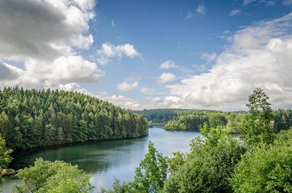 Le Noir Flohay 30 Pers - Malmedy, Vue, Wellness Villa Bagian luar foto